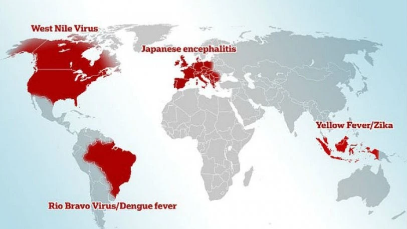 Πανεπιστήμιο Καλιφόρνιας: Η Ελλάδα ανάμεσα στις χώρες υψηλού κινδύνου για το ξέσπασμα επιδημίας!